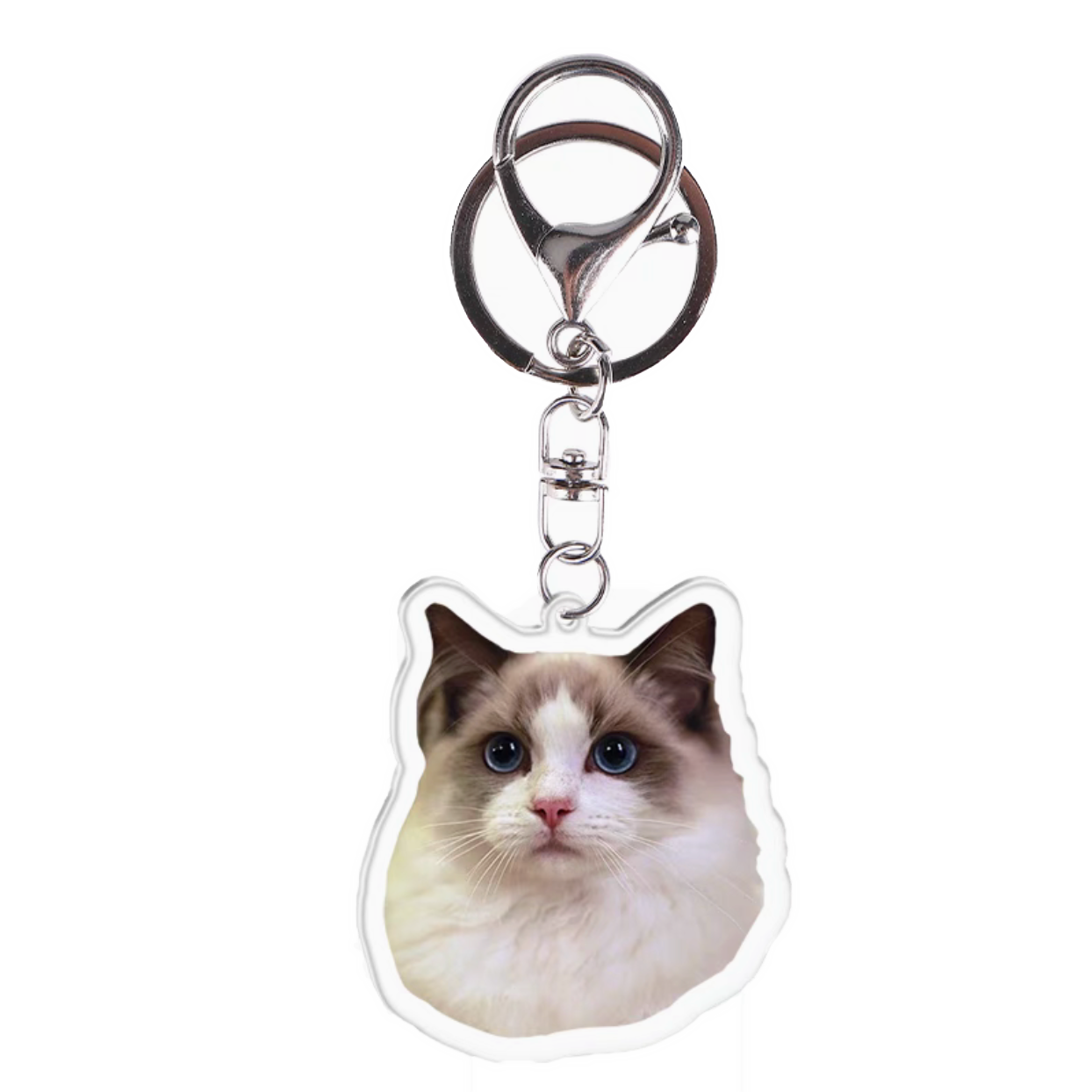 Keychain with your favorite photo, acrylic, 5cm, original gift, key ring, pet memorial, custom made