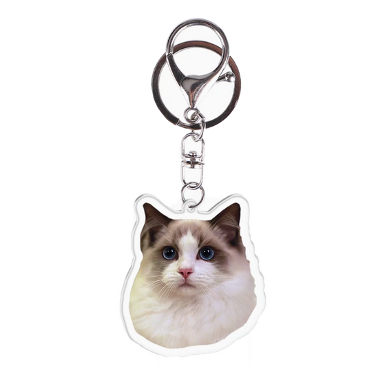 Keychain with your favorite photo, acrylic, 5cm, original gift, key ring, pet memorial, custom made